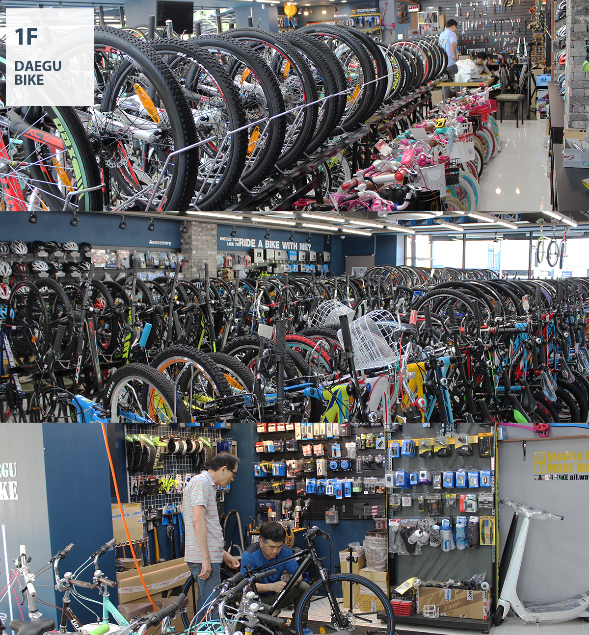1 DAEGU BIKE