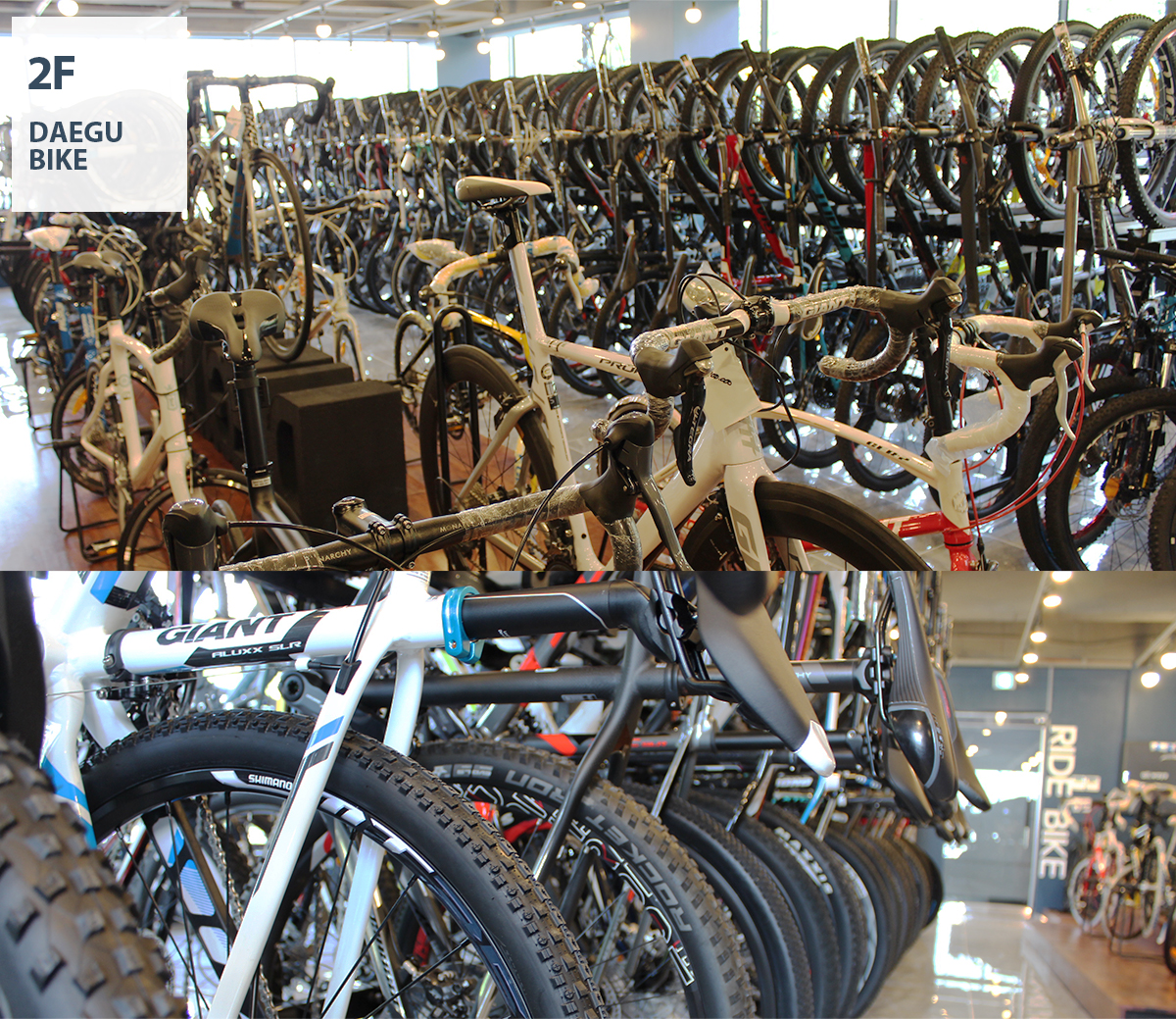 2 DAEGU BIKE